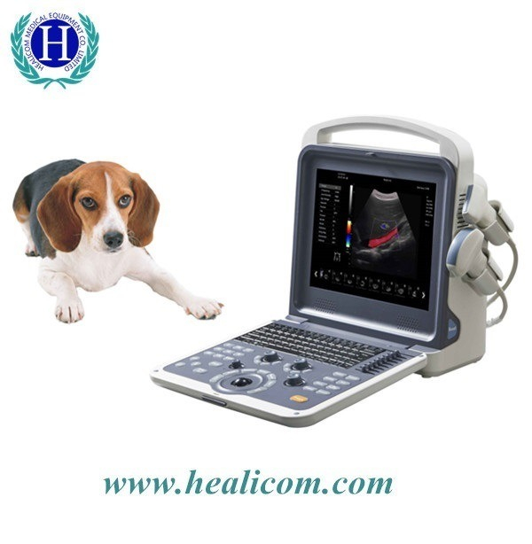 HVET-10 การวินิจฉัยทางการแพทย์แบบเต็มรูปแบบ Doppler สีแบบพกพาเครื่องตรวจอัลตราซาวนด์สัตวแพทย์